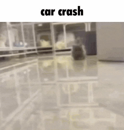 Car Crash Cat GIF