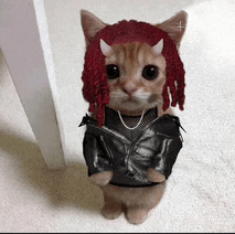Carticat Playboi Carti Meme