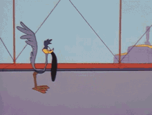 Cartoon Roadrunner GIF