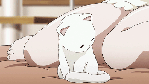 Cat Banner GIF