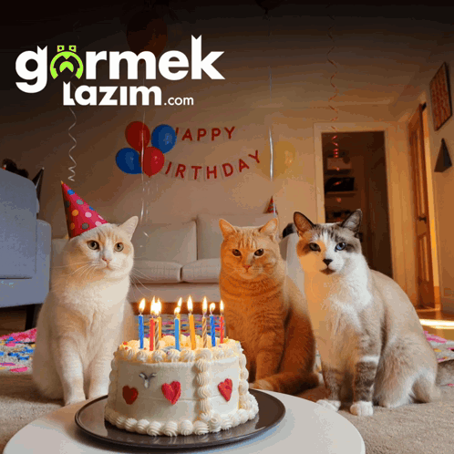Cat Birthday Cats Birthday GIF