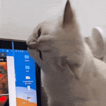 Cat Bite GIF