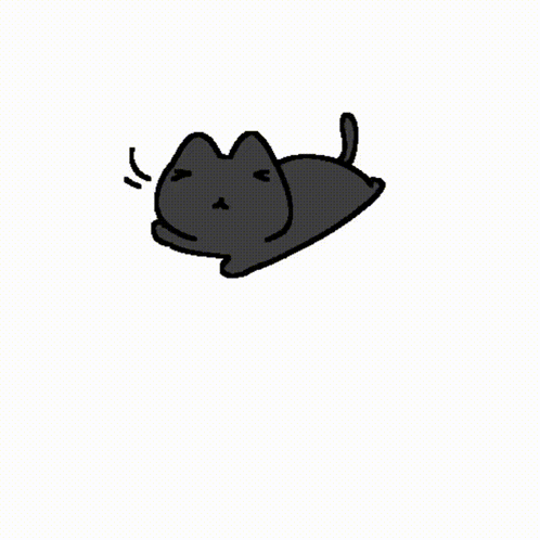 Cat Black And White GIF