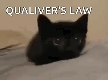 Cat Black Cat GIF