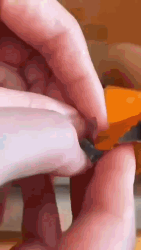 Cat Car GIF