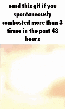 Cat Cat Meme GIF