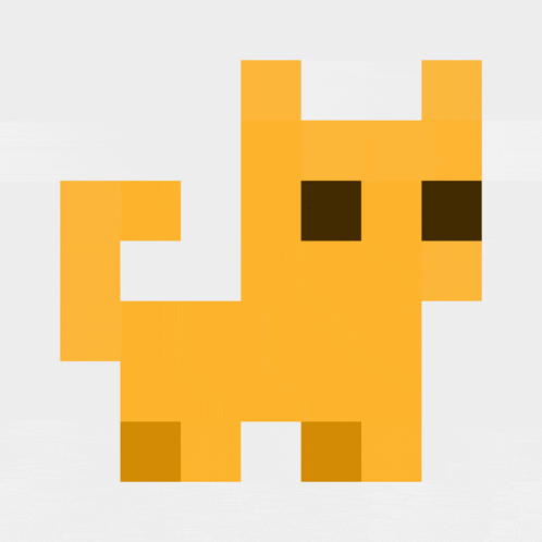 Cat Cat Meme GIF