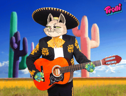 Cat Cats GIF