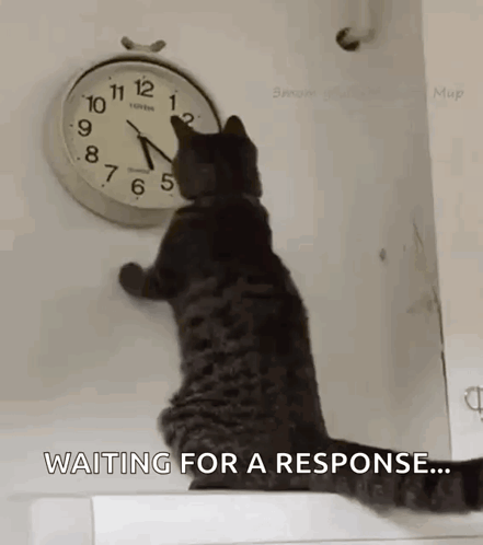 Cat Changing The Clock Changing The Time GIF