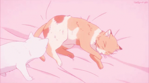 Cat Cuddle Cat GIF