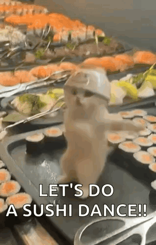 Cat Dance Sushi GIF