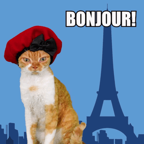 Cat Devon Rex Paris France Eiffel Tower Beret Hat Bonjour Cute GIF