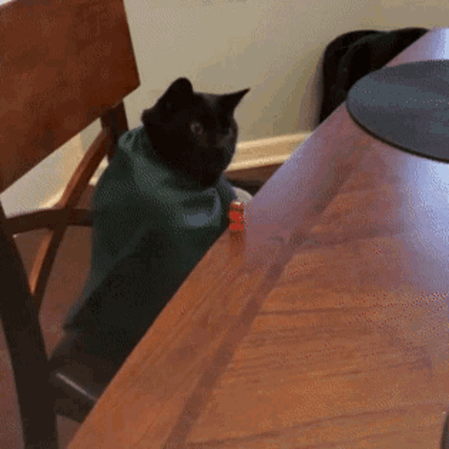 Cat Dice GIF