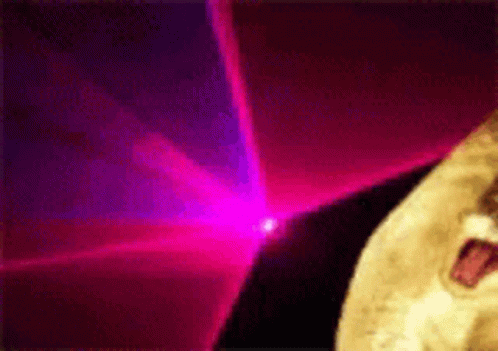 Cat Disco GIF