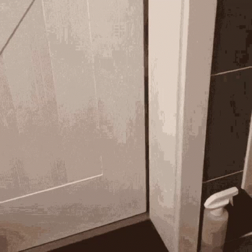Cat Door GIF