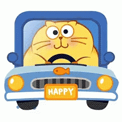 Cat Driving GIF
