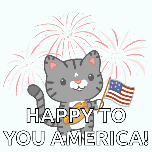 Cat Fireworks GIF