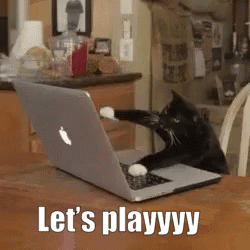 Cat Gaming GIF