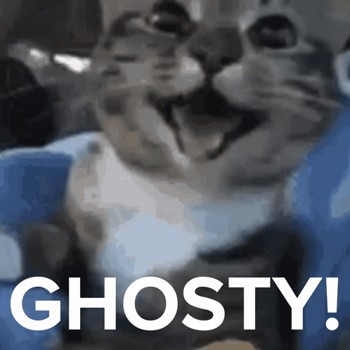 Cat Happy GIF