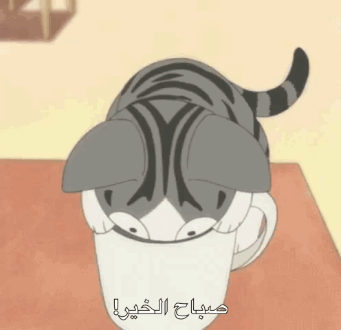 Cat GIF