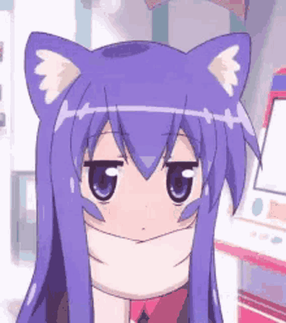 Cat GIF