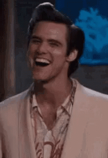 Cat Insult GIF