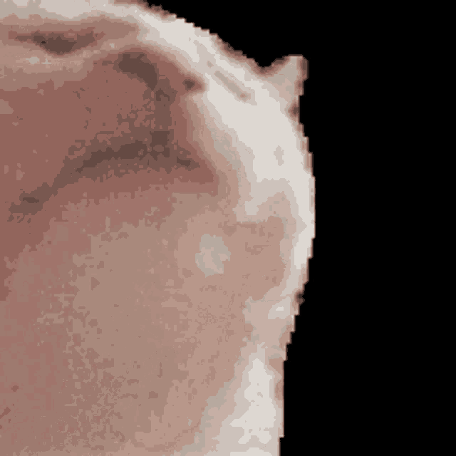 Cat Jam Cat GIF