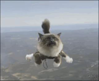 Cat Kawaii GIF