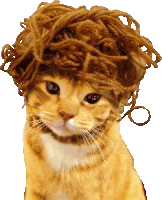 Cat Kitten Sticker