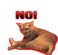 Cat Kitten Sticker