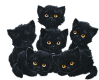 Cat Kitten Sticker