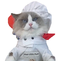 Cat Licking Puff Sticker