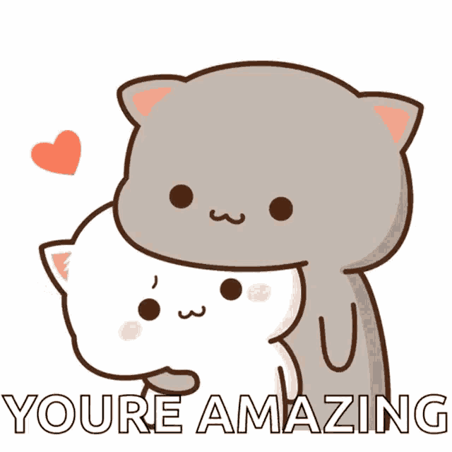 Cat Love GIF