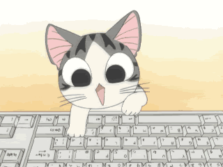 Cat Meme Cat Meme Funny GIF