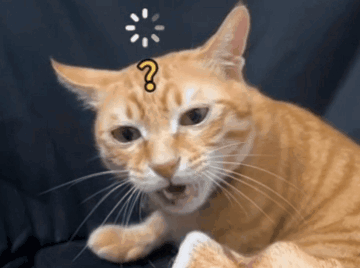 Cat Mouth Open GIF