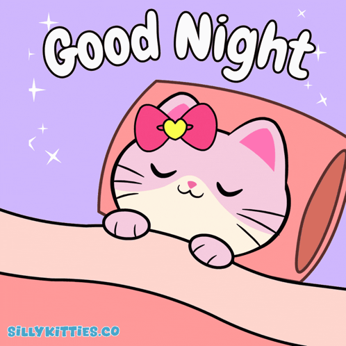 Cat Night GIF