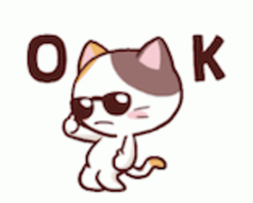Cat Ok GIF