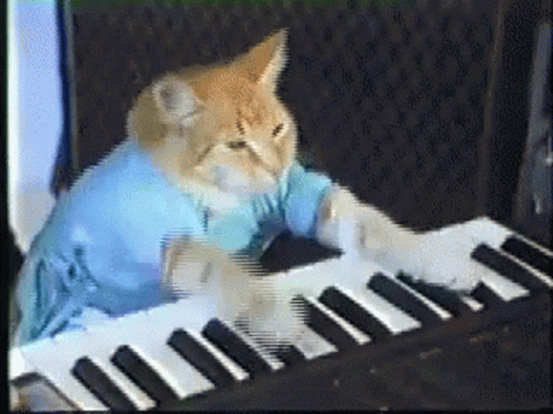 Cat Playing Piano Funny GIF