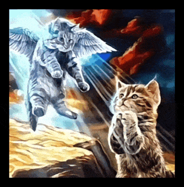 Cat Pray GIF