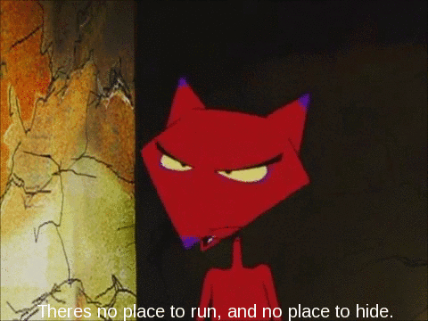 Cat Red GIF