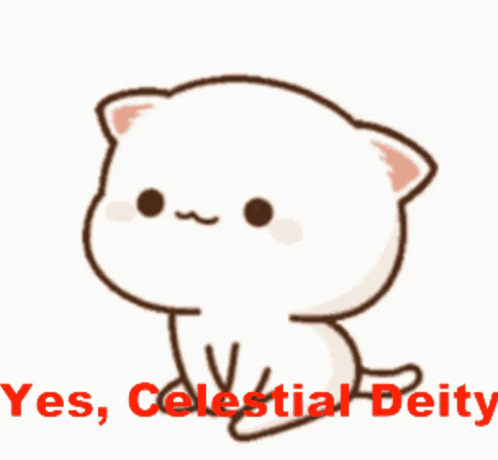 Cat GIF