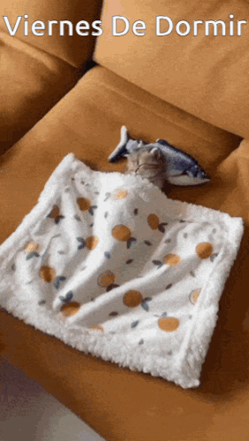 Cat Sleep GIF
