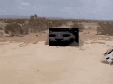 Cat Tumbleweed GIF