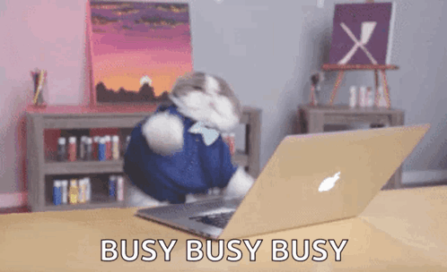 Cat Type GIF