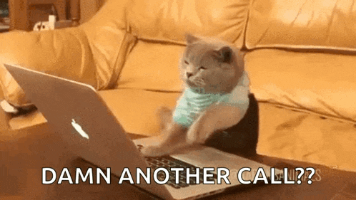 Cat Typing GIF
