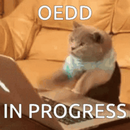 Cat Typing GIF