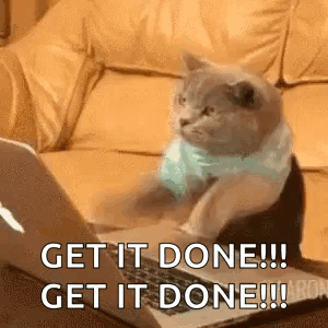 Cat Typing GIF