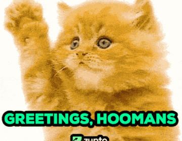 Cat Waving Crypto GIF