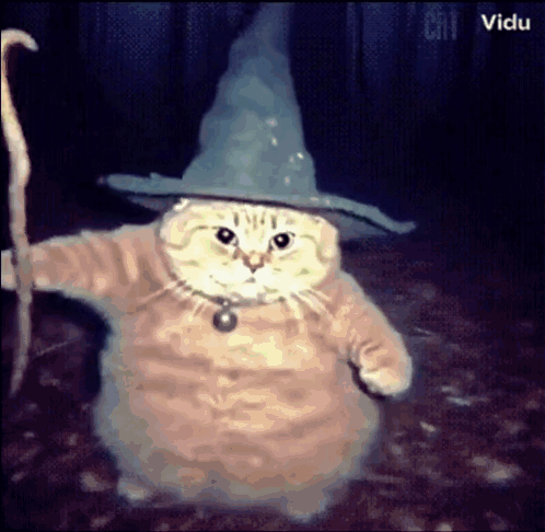 Cat Wizard GIF