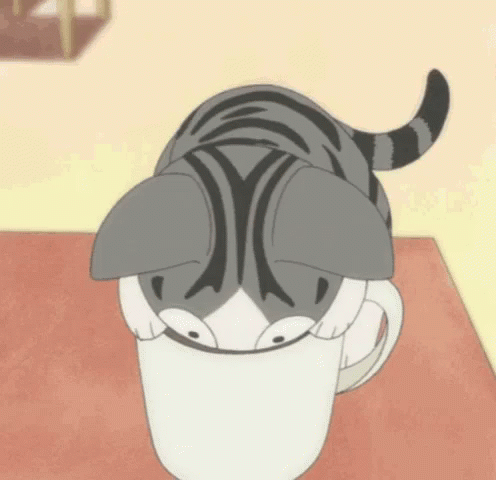 Cat GIF